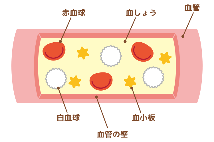 血液内科イメージ画像